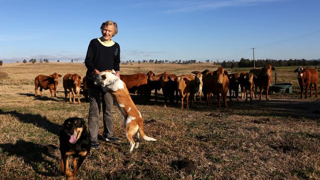 Wendy Bowman on her Hunter Valley cattle property she refuses to sell to a coalmining company. Picture: James Croucher