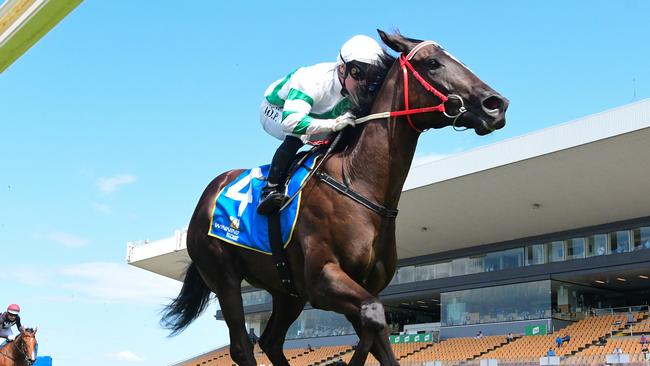 Toowoomba filly Kisukano winning at Doomben last month. Picture: Trackside Photography