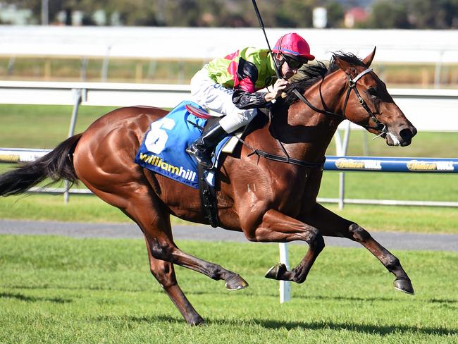 Prince Of Brooklyn looks a pretty strong candidate in the second. Picture: Tom Huntley