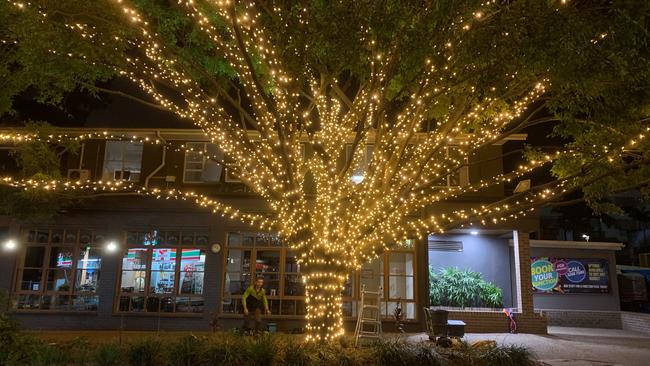 Racecourse Rd Up in Lights project has festooned the famous Brisbane street with fairy lights. Picture: SUPPLIED