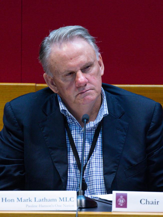 One Nation MP Mark Latham. Picture: NCA NewsWire / Christian Gilles