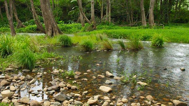 Man allegedly thrusts naked body toward bystanders near Tallebudgera Valley Park. Picture: City of Gold Coast