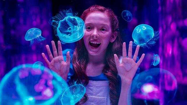 A guest enjoys Sea World’s new Sea Jellies Illuminated exhibit.