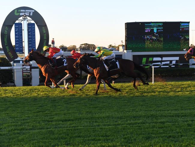 Jeff Lloyd gets home aboard Sagaronne in the final event at Doomben. Picture: Natasha Wood, Trackside Photography