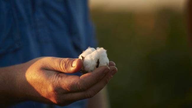 Boggabilla NSW farmer Sam Coulton. The Coultons run a large-scale mixed farming operation across a number of properties in Queensland and northern NSW, growing 5500ha of irrigated cotton and 7000-8000ha of cereal crops alongside 4000 Angus cattle.