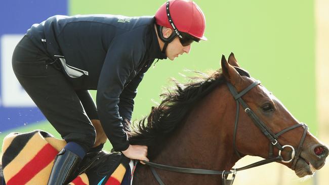 Johannes Vermeer is also high up in betting markets. Picture: Getty Images