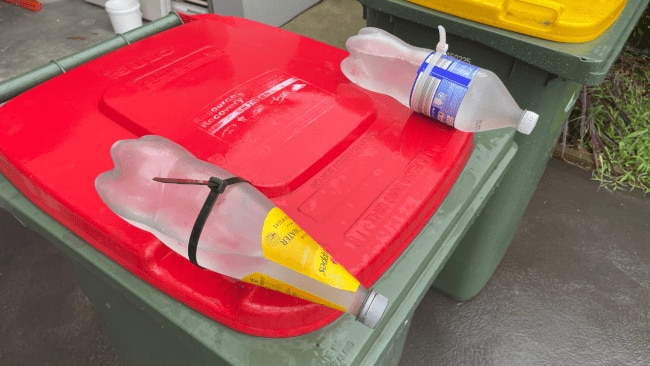 Mum's clever hack to stop bin chickens opening her bin. Image: Leah Goulis / Kidspot