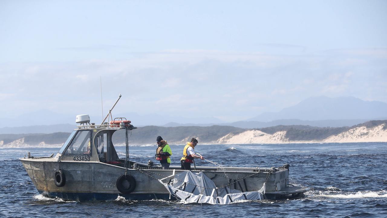 Rescue mission of surviving whales. Stranding of over 200 pilot whales at Macquarie Heads near Strahan Tasmania. Picture: Nikki Davis-Jones