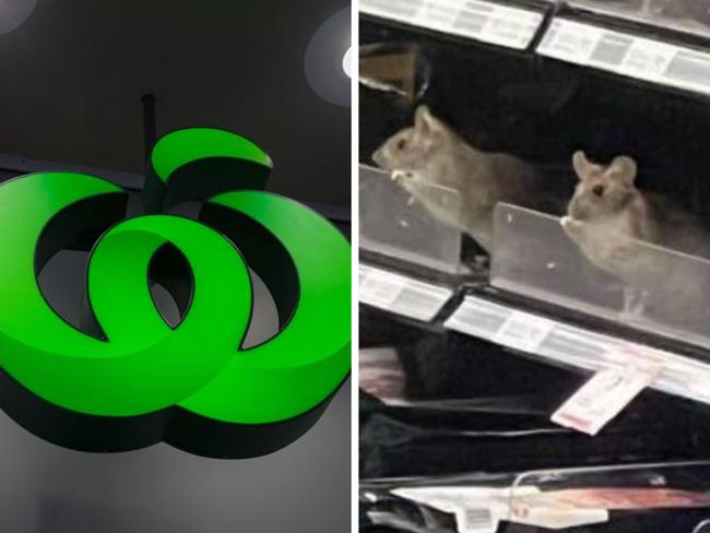 A Woolworths-owned supermarket in New Zealand has been shut down after footage of multiple rodents on the store’s shelves went viral. Picture: Supplied