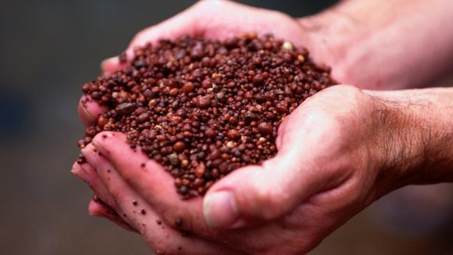 Bauxite prices are expected to remain high in 2025 with Western Yilgarn positioning to meet increasing demand for non-Guinea sources. Pic: Getty Images