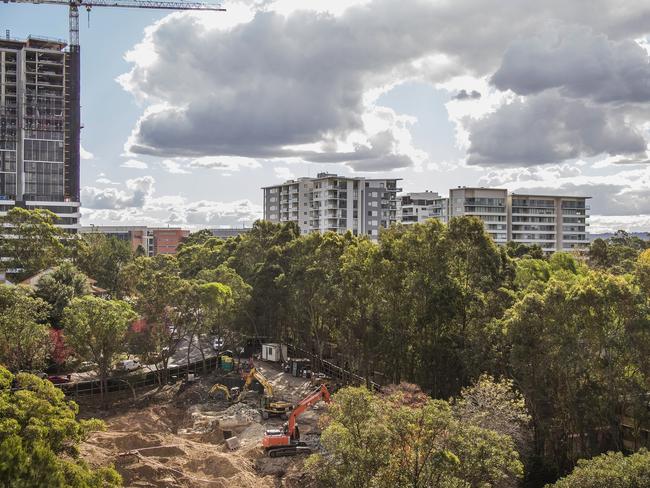 In January, bulldozers made their way to clear hundreds of trees to make way for the Ivanhoe estate at Macquarie Park.