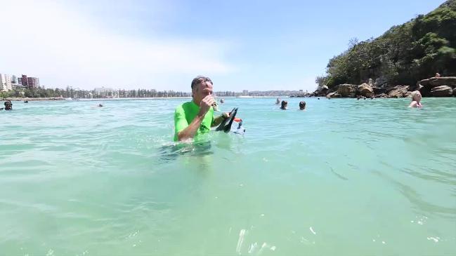 Tony Hawk visits Manly