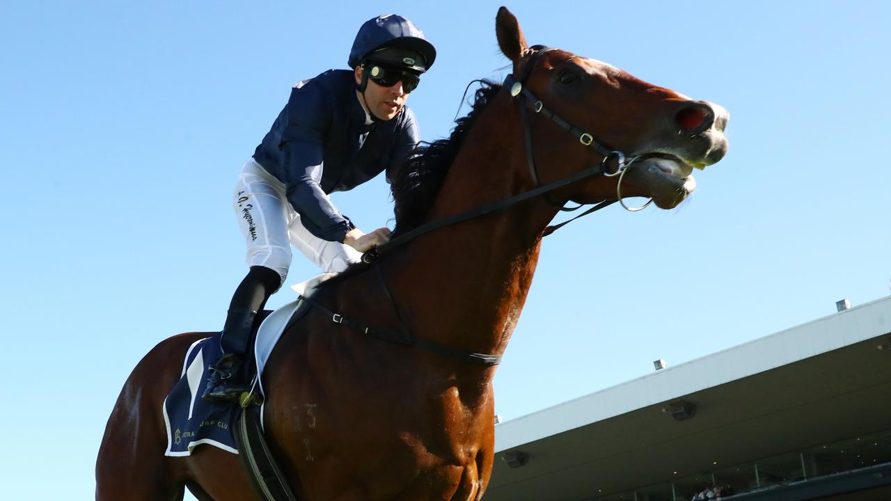 Storm Boy, ridden by Adam Hyeronimus, wins the San Domenico Stakes at Rosehill on August 31. Picture: Jeremy Ng / Getty Images