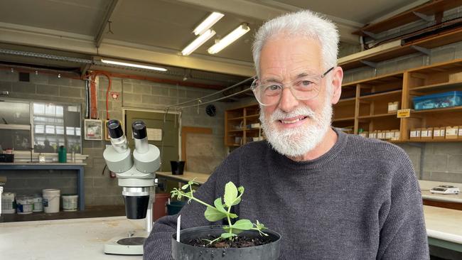 Professor John Ross from the University of Tasmania.