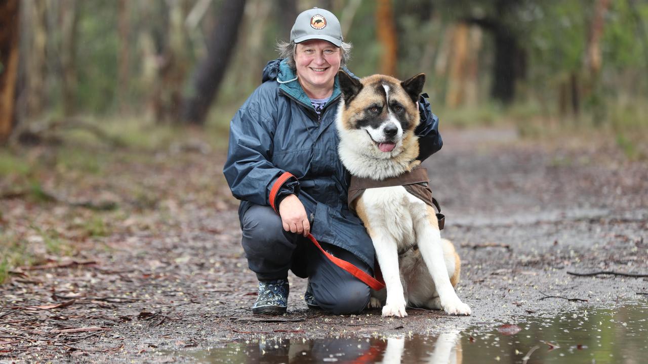 Pet adoption rates in SA boom during COVID-19 quarantine | The Advertiser