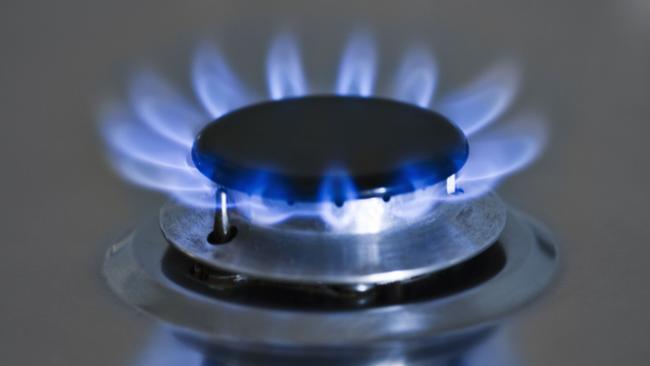 Big business groups have welcomed the review, which could lead to a national gas reservation scheme.