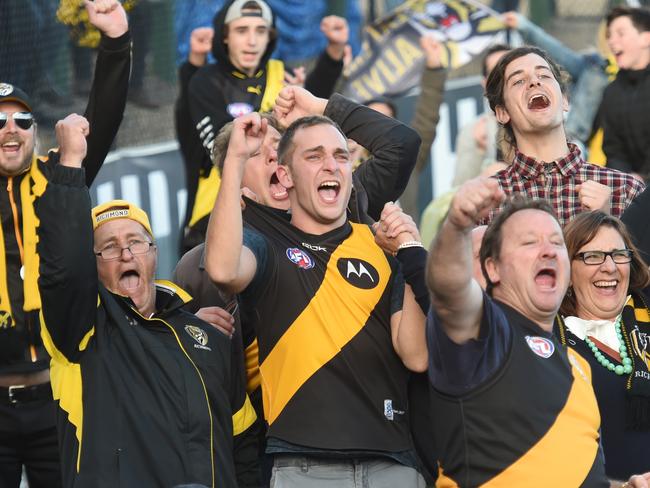 Richmond supporters at Punt Road Oval go wild after their team wins the 2017 AFL Grand Final. Picture Tony Gough