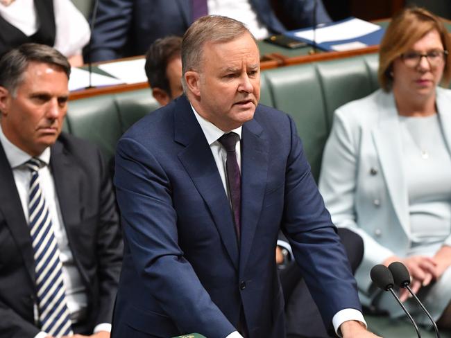 Leader of the Opposition Anthony Albanese replies to Prime Minister Scott Morrison's Ministerial statement on 'Closing the Gap'. Picture: Mick Tsikas/AAP