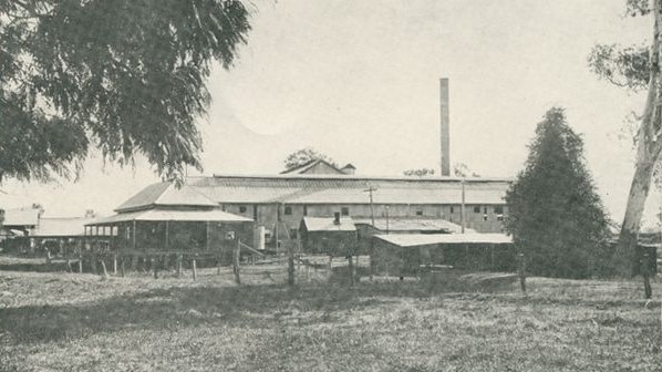 Wallaville Mill, 1896. Built on the Burnett River, Wallaville Mill was a key part of the local sugar industry and collectively operated by local farmers. Source: Queensland Agricultural Journal, Fryer Library, University of Queensland