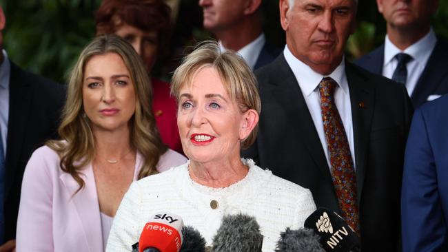 Queensland Minister for Finance Ros Bates speaks to the media after the new ministers were sworn in. Picture: NewsWire/Tertius Pickard