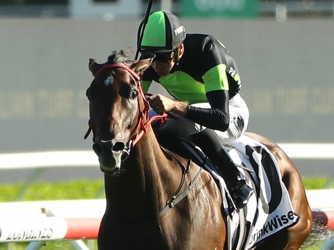 SYDNEY, AUSTRALIA - FEBRUARY 25: Sam Clipperton riding Think About It wins Race 9 Liverpool City Cup during TAB Chipping Norton Stakes Day - Sydney Racing at Royal Randwick Racecourse on February 25, 2023 in Sydney, Australia. (Photo by Jeremy Ng/Getty Images)