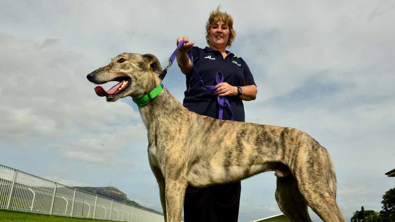 First state best sale greyhound rescue