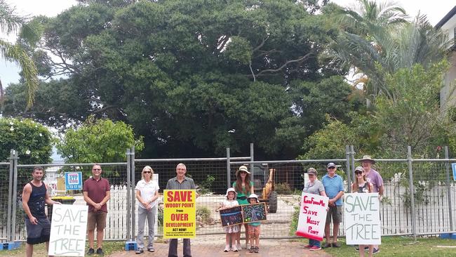 Woody Point Action Group members are fighting to save a 120-year-old fig tree from being bulldozed by a developer. Picture: Supplied