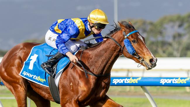 Colmar wins the Sires' Produce Stakes at Morphettville Parks. Picture: Makoto Kaneko