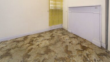 Mouldy carpet in a Redfern home.