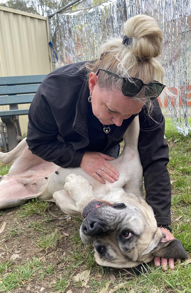 Animal Rehoming Officer Bianca Oitmann and the shelter’s “cuddle bug”, Tink. Picture: Kirsten Jelinek.