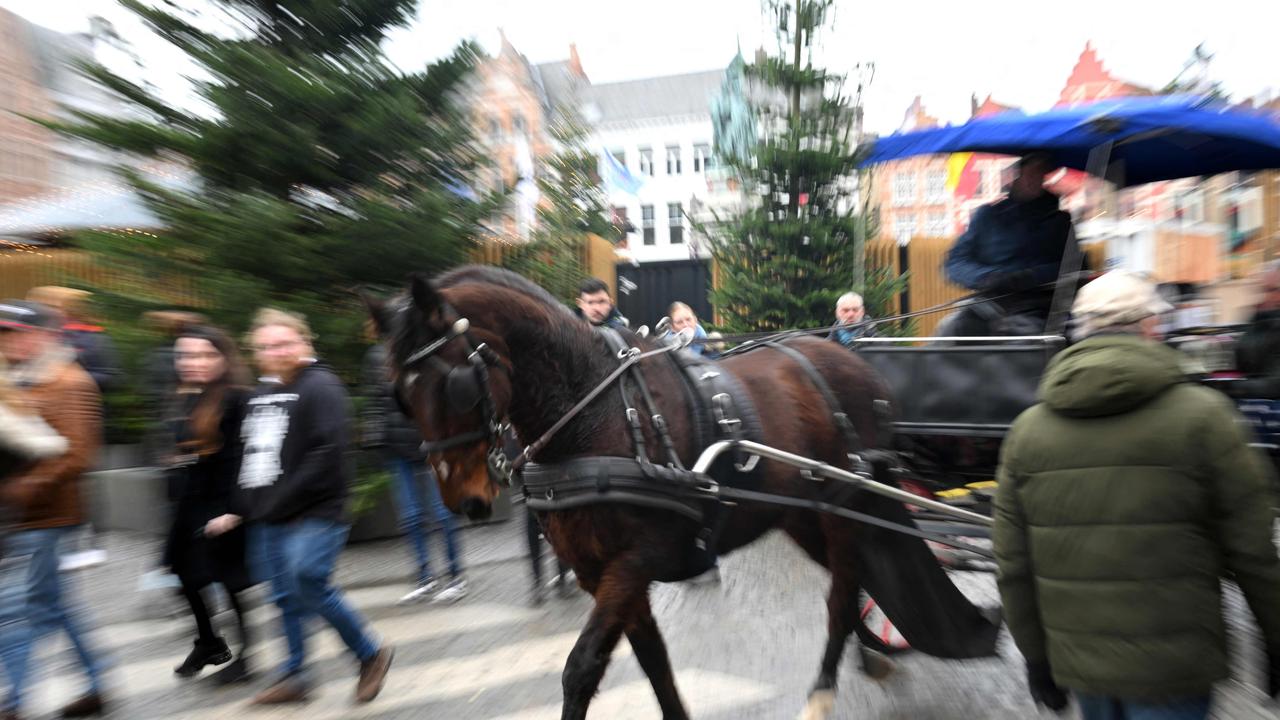 Protesters rage against carriage rides in Hobart