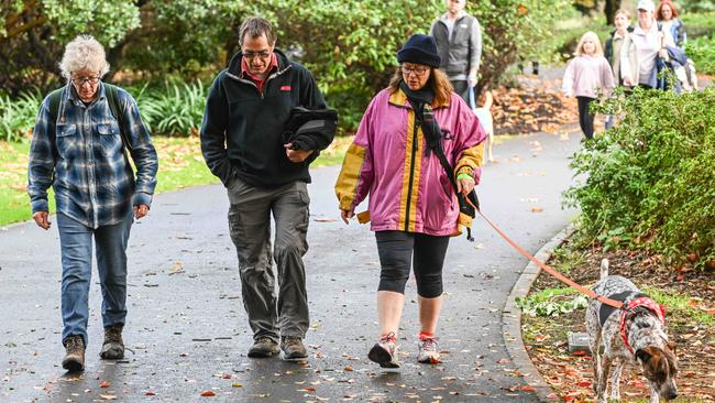 Million Paws Walk at Adelaide Botanic Gardens. Picture: Brenton Edwards