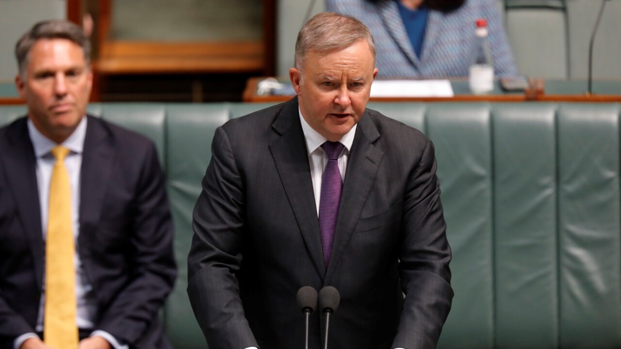 Albanese vows to reintroduce women's budget statement if successful at federal election