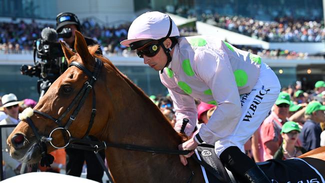 MELBOURNE, AUSTRALIA - NOVEMBER 05: William Buick riding Vauban to the start before Race 7, the Lexus Melbourne Cup - Betting Odds during Melbourne Cup Day at Flemington Racecourse on November 05, 2024 in Melbourne, Australia. (Photo by Vince Caligiuri/Getty Images)