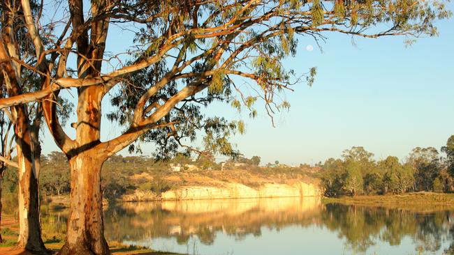 Murray River National Park. Picture: Department of Environment and Water