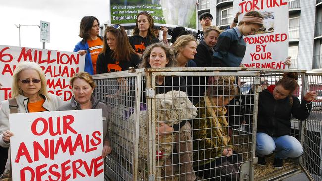 A protest against live animal exports in Hobart in 2013.