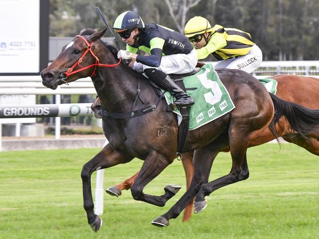 King's Secret and make it back-to-back wins to start his campaign. Picture: Bradley Photos