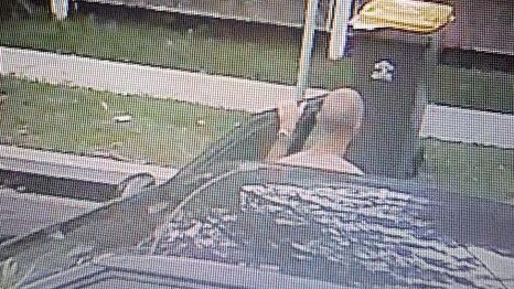 Strada, 27, pictured in CCTV footage. Picture: Supplied