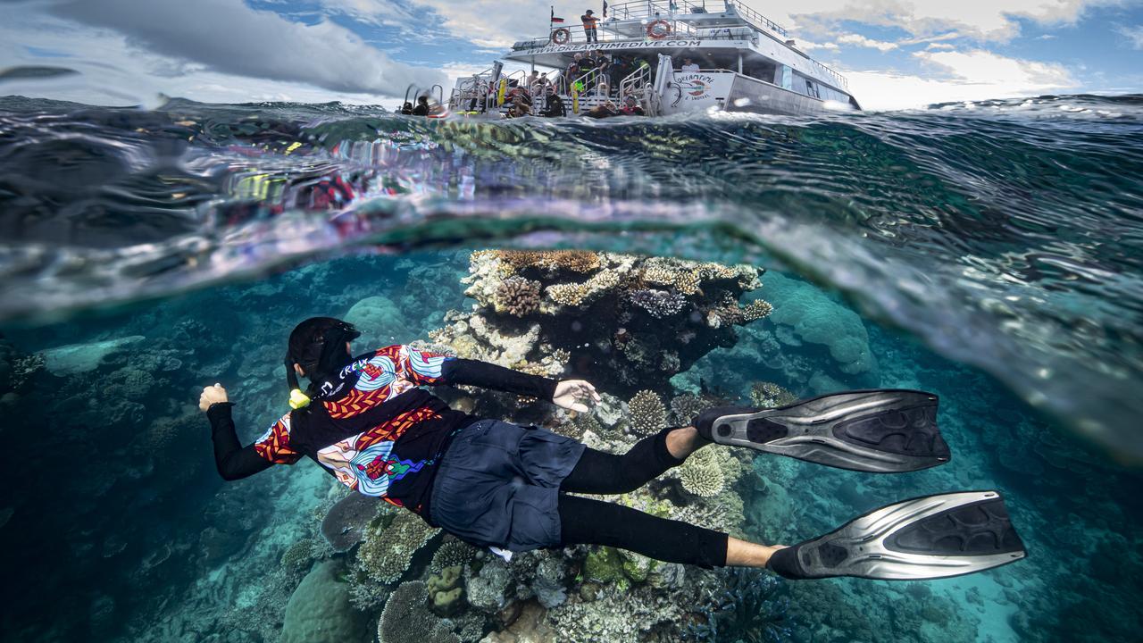 Take an underwater tour with Dreamtime Dive and Snorkel in Cairns.