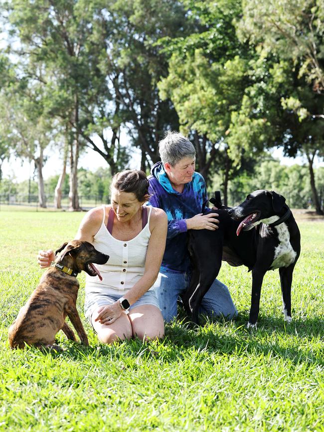 RAA currently has 24 dogs available for adoption. Picture: Brendan Radke