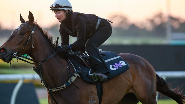 Courtney Van Der Werf gives star mare, Fangirl, a final gallop. Picture: Justin Lloyd