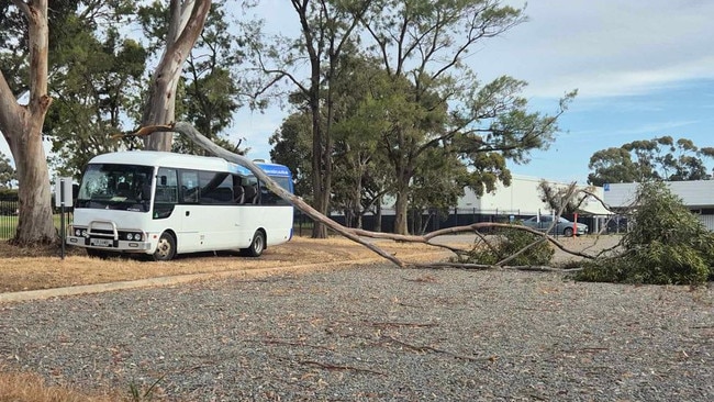 A school bus has been hit in a freak tree fall in the southern suburbs. Picture: Sam Edwards