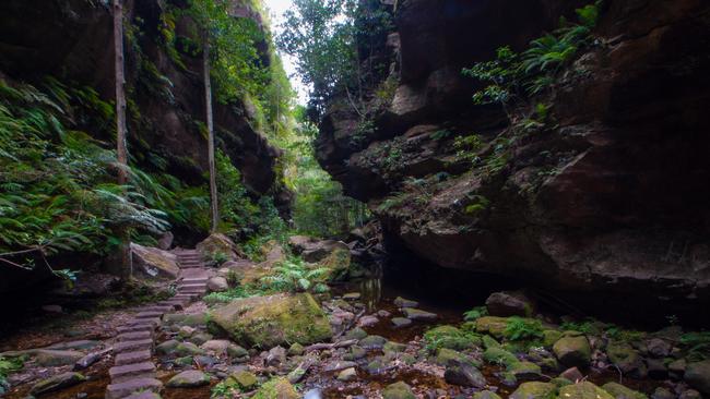 The Blue Mountains Grand Canyon Walk near Blackheath. Picture: Alistair Paton