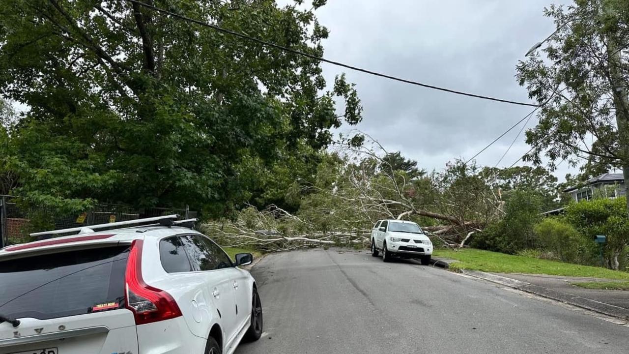 Fallen trees have caused disruption across Sydney including here on the upper north shore.