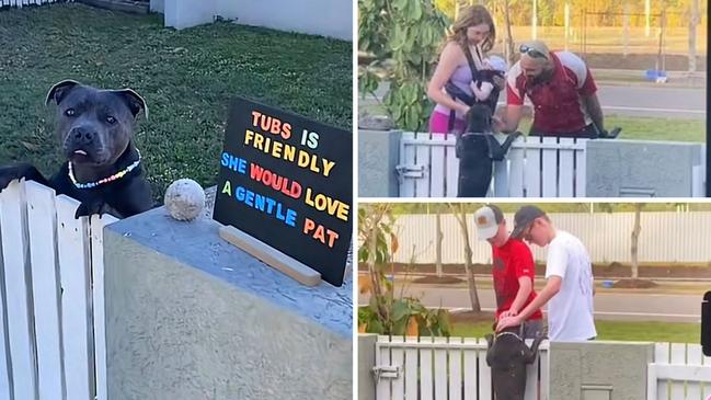 Tub’s owners put up a sign to encourage neighbours to give their pooch a pat and the results were adorable.