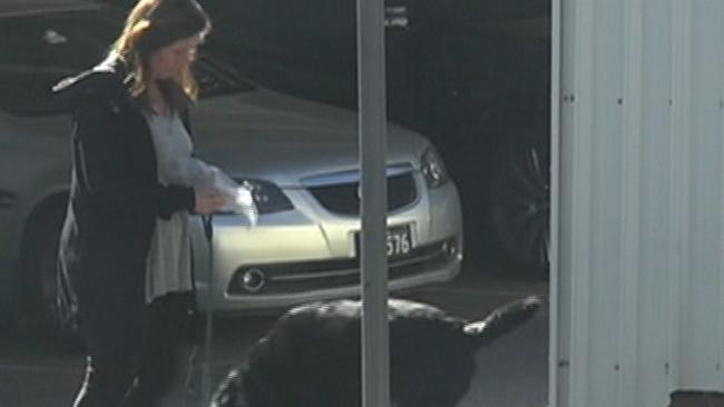 Screengrab of footage showing a Emma Husar staff member taking Emma Husar's dog for a walk. Picture: Seven News.