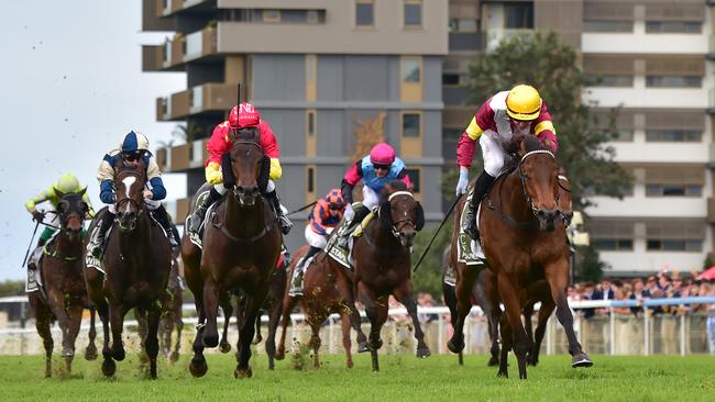 Arabian Summer (yellow cap) proves too strong for her rivals at Doomben on Saturday. Picture: Grant Peters / Trackside Photography