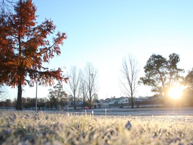 Cold weather in Stanthorpe.  Pic Peter Wallis