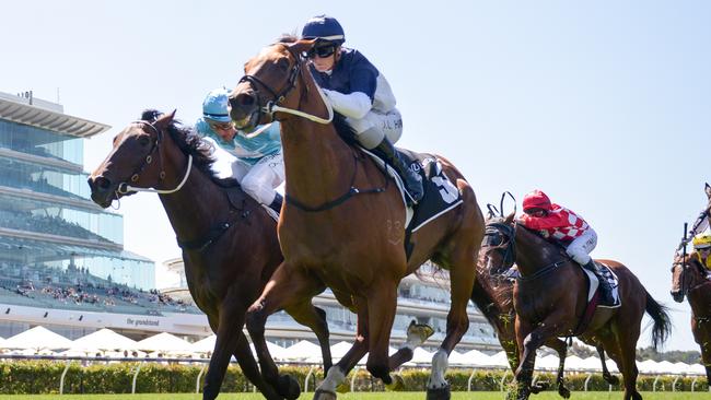 Cumberbatch ridden by Jamie Kah takes to the track at Flemington Racecourse. Picture: Ryan Reg