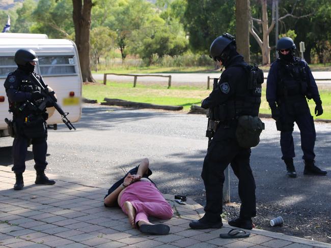 The arrest of the alleged cannabis grower occurred after an undercover police investigation. Picture: NSW Police Media